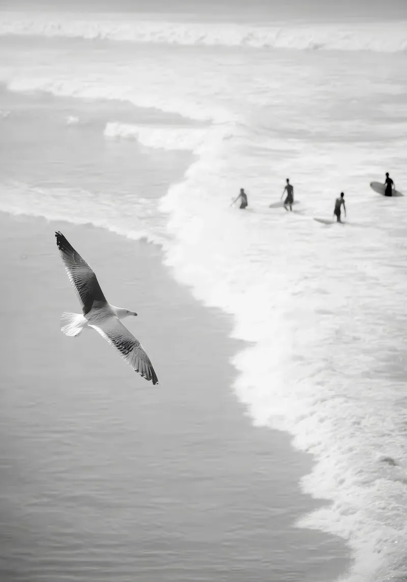 Ocean Glide – Minimalist Black and White Surf Photography hahnemühle by Vela Luna