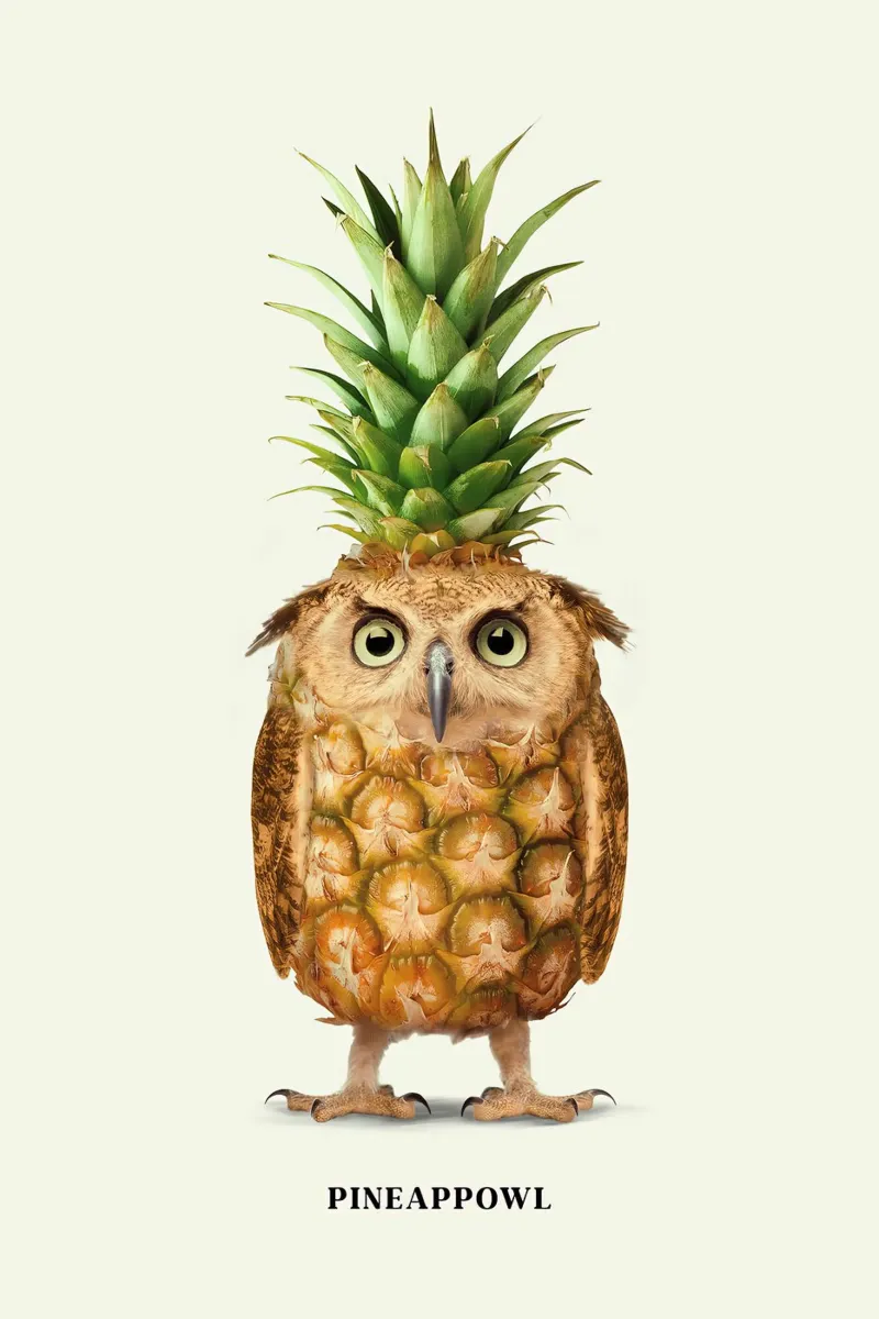 Ananas - Jonas Loose pellicola backlit da shaw post