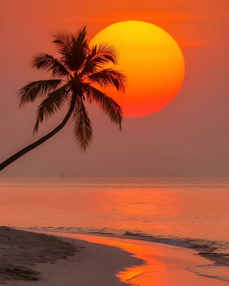 Bagliore del tramonto tropicale pellicola backlit da luxi&lace