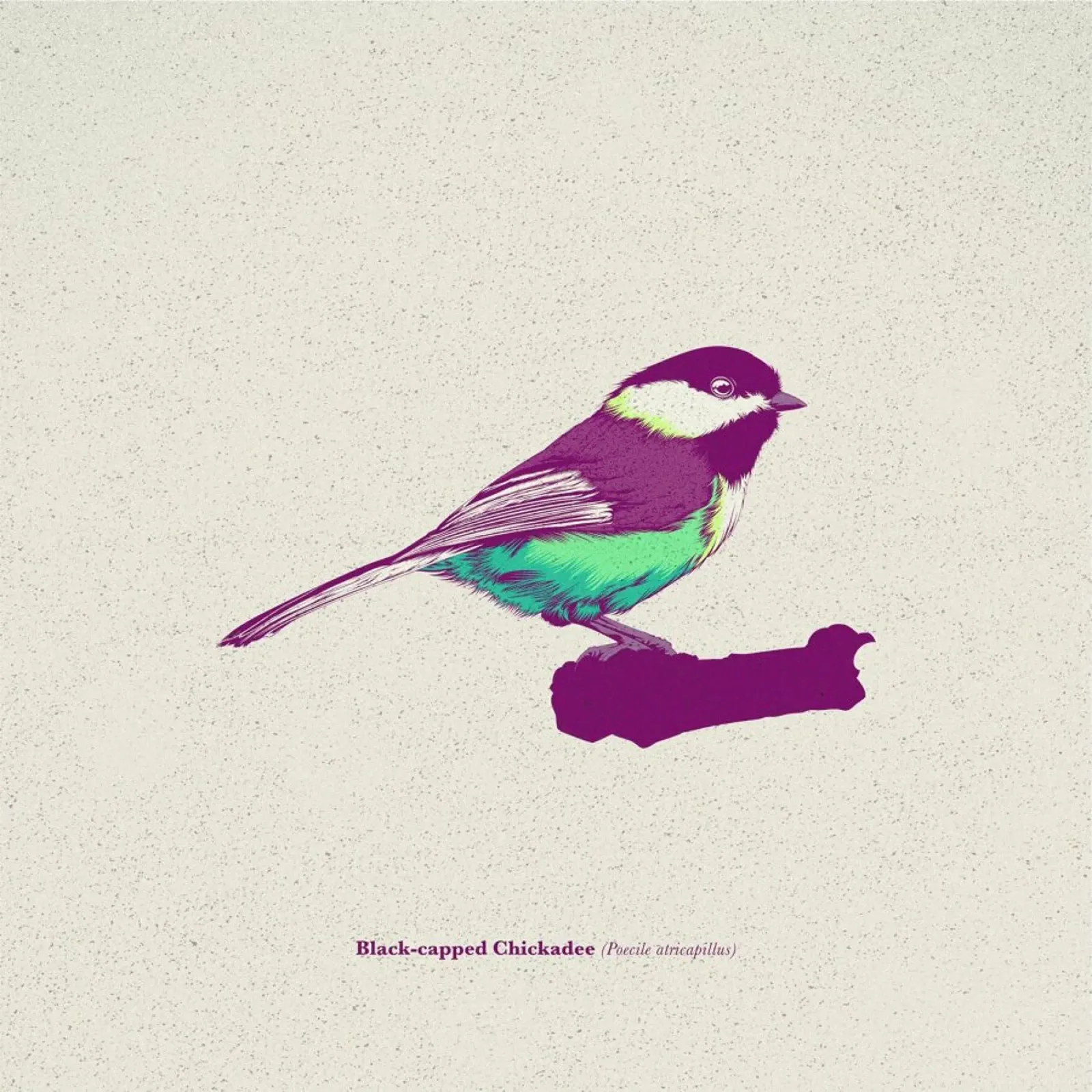 Bird 03 alluminio dibond da Cranio Dsgn