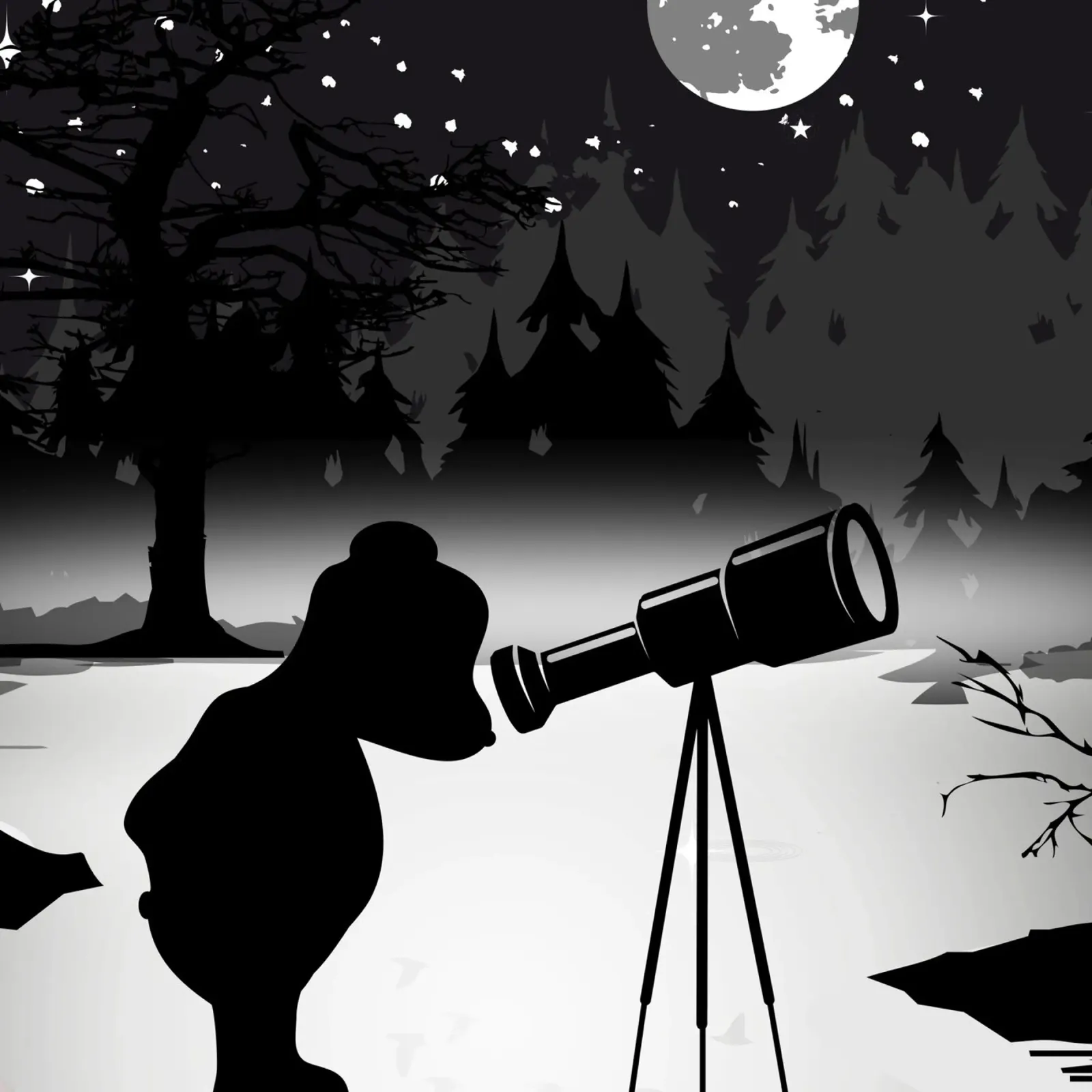 Bear with telescope under the starry sky canvas with Floater frame by namosh
