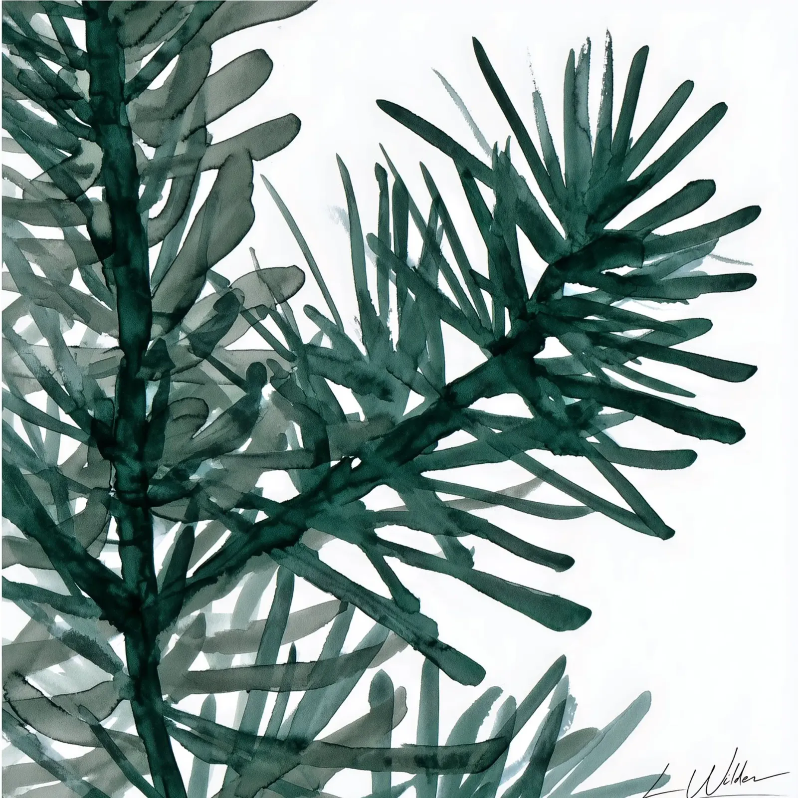 Evergreen Silhouette acrylic glass by Luke Wilder Studio