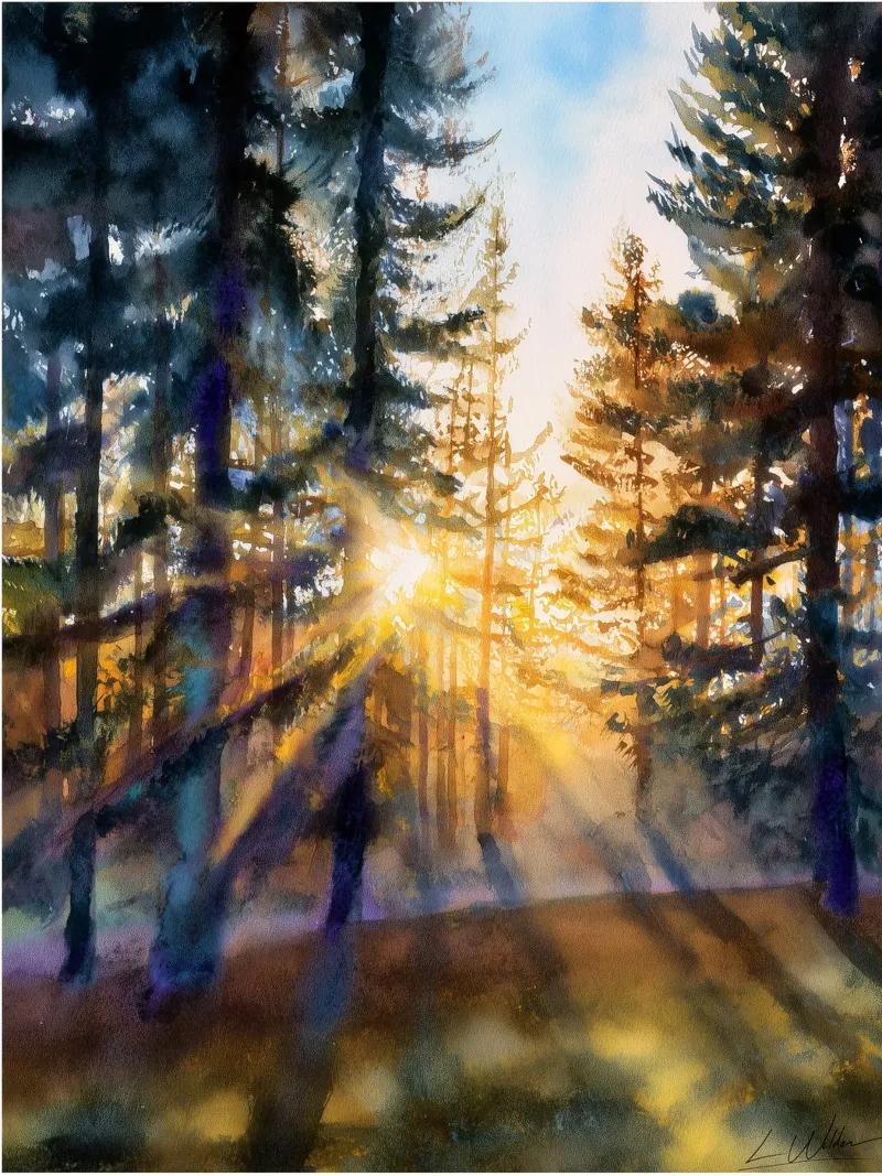 Sunlight, Soft as Memory hahnemühle by Luke Wilder Studio
