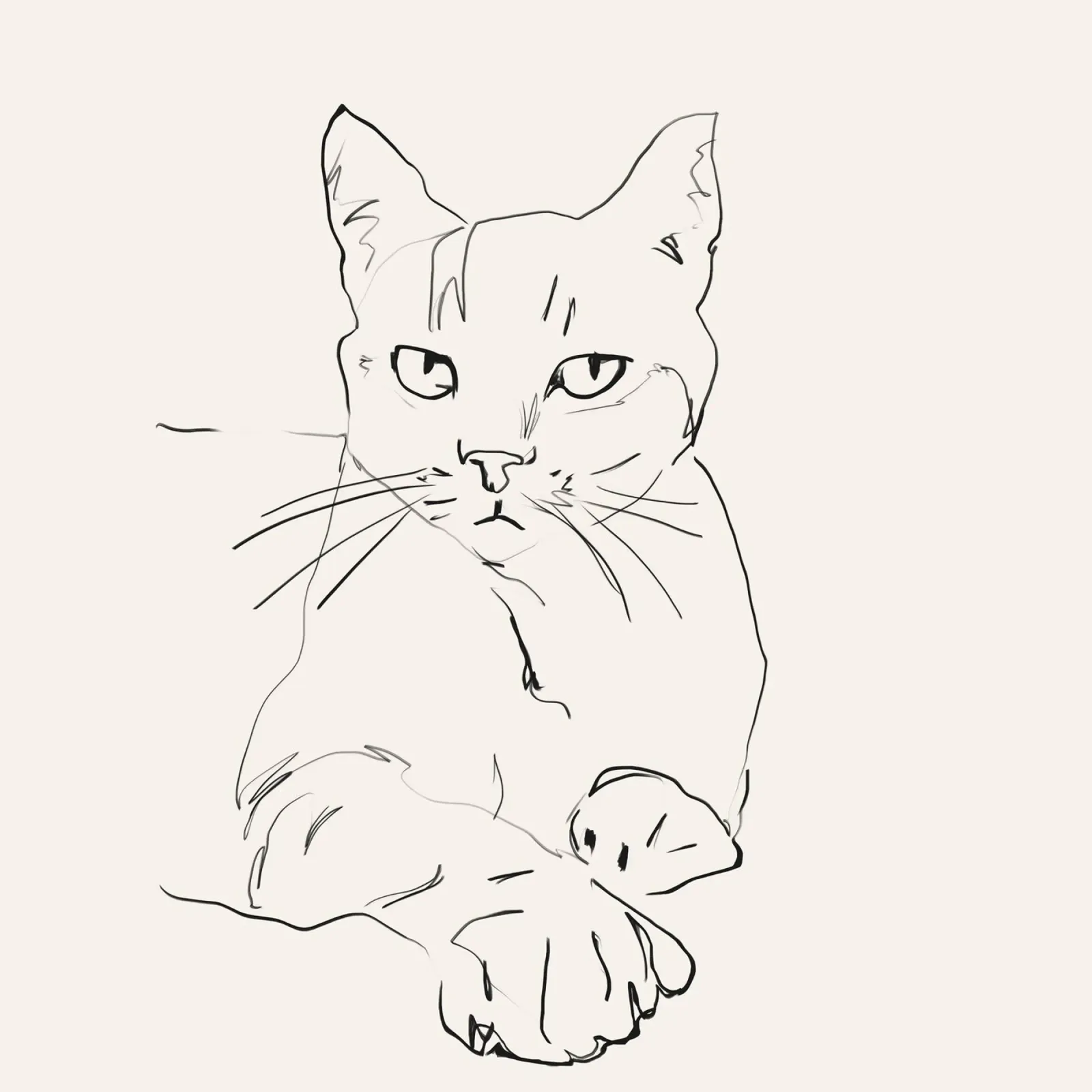 Linea Cat plexiglass da LeaDArt