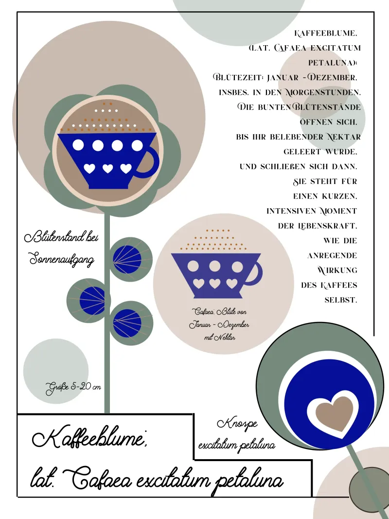 Kaffee Tassenblume - Botanische Illustration poster with plastic frame by Lilou Art