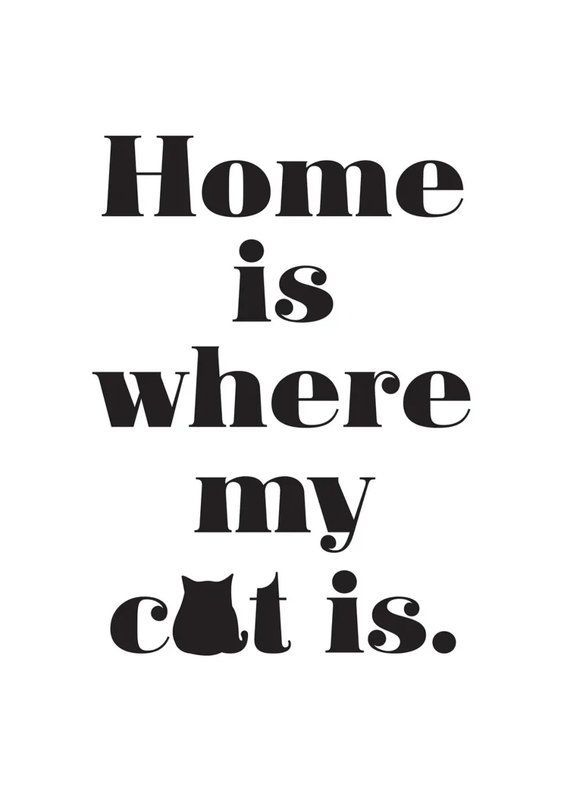 Home is where my cat is alluminio dibond da Fraysein Design