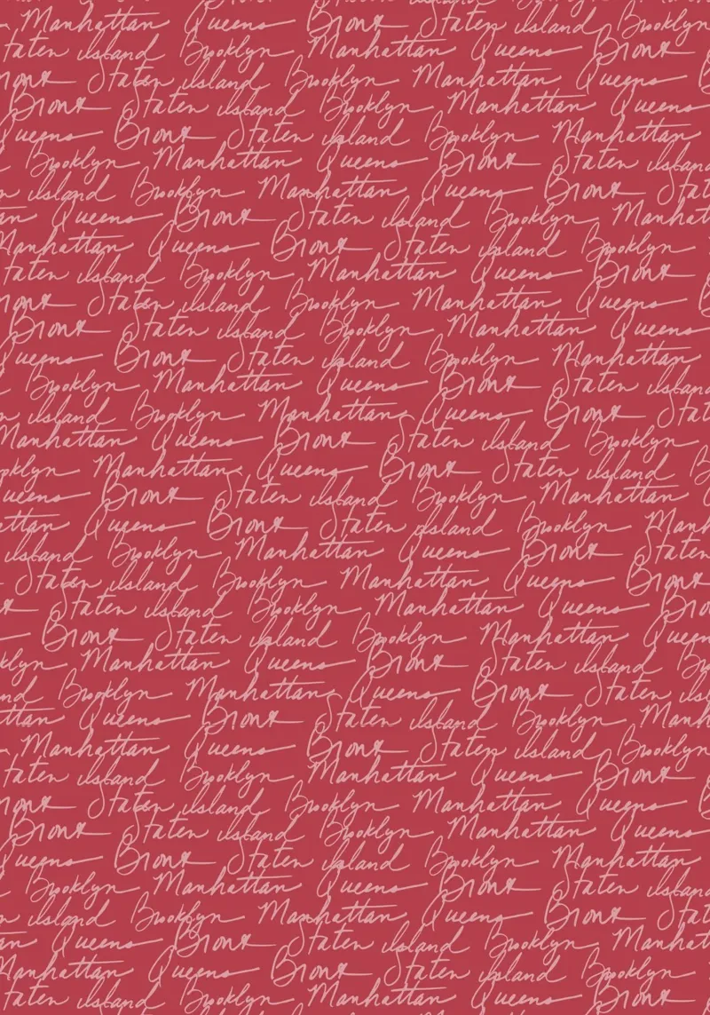 NYC Boroughs Script: Manhattan, Brooklyn Pattern Print canvas by ClubArt