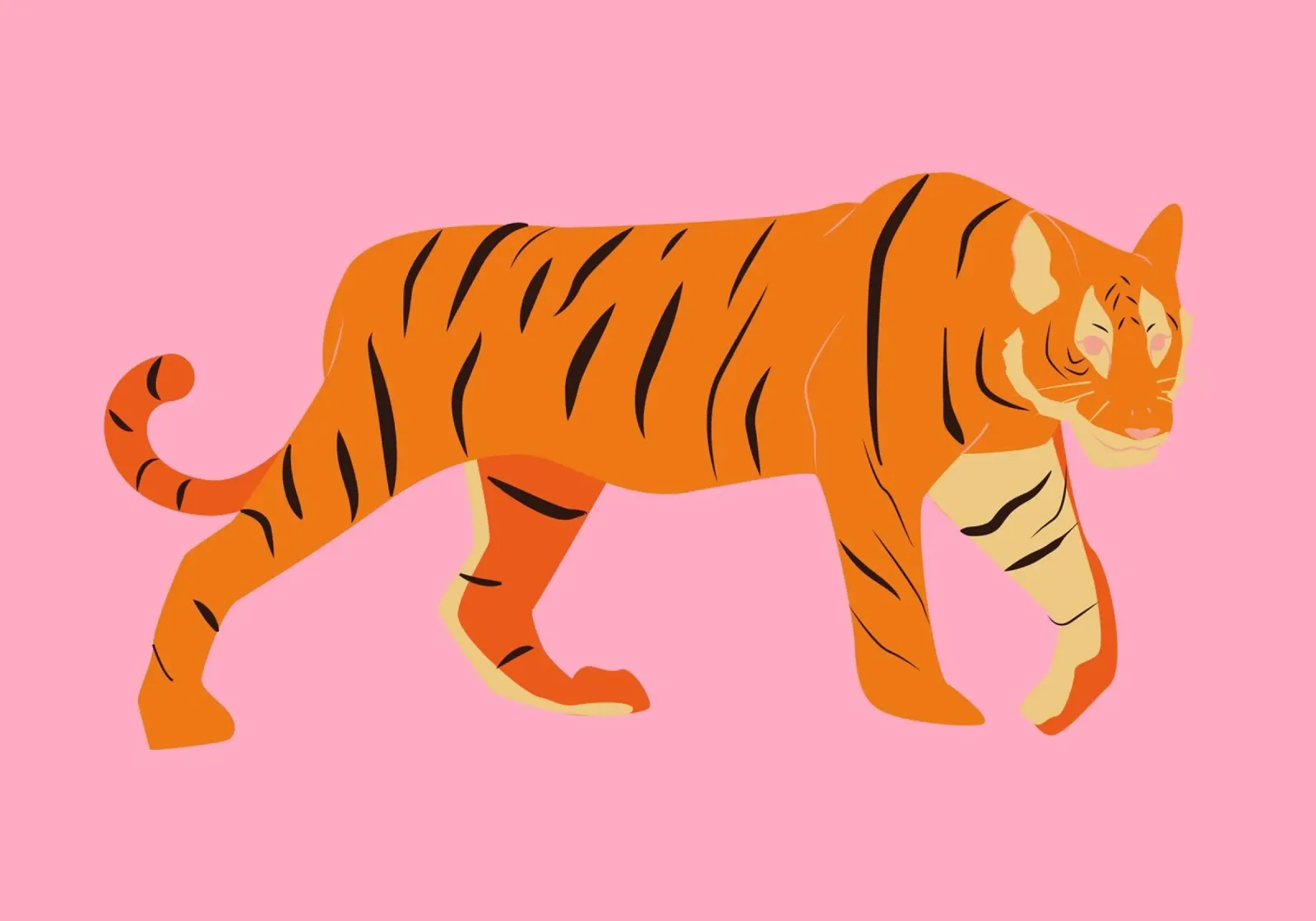 Tigre rosa pop: arte animale moderna e minimalista pellicola backlit da homdeco