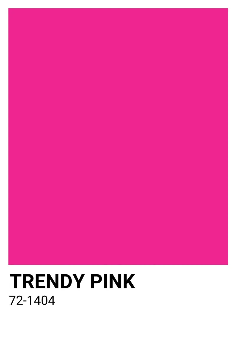 Trendy Pink Pantone: Modern Color Block Art Print canvas with Floater frame by homdeco