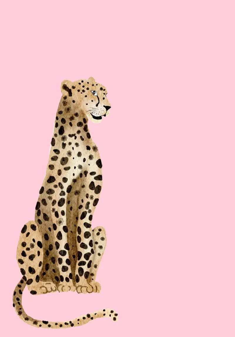 Zittend luipaard: Roze achtergrond dier Art Print canvas met Baklijst van homdeco