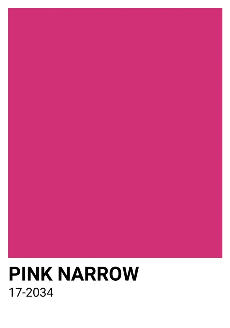 Pantone Rosa Estrecho: Bold Color Block Art Print hahnemühle de homdeco