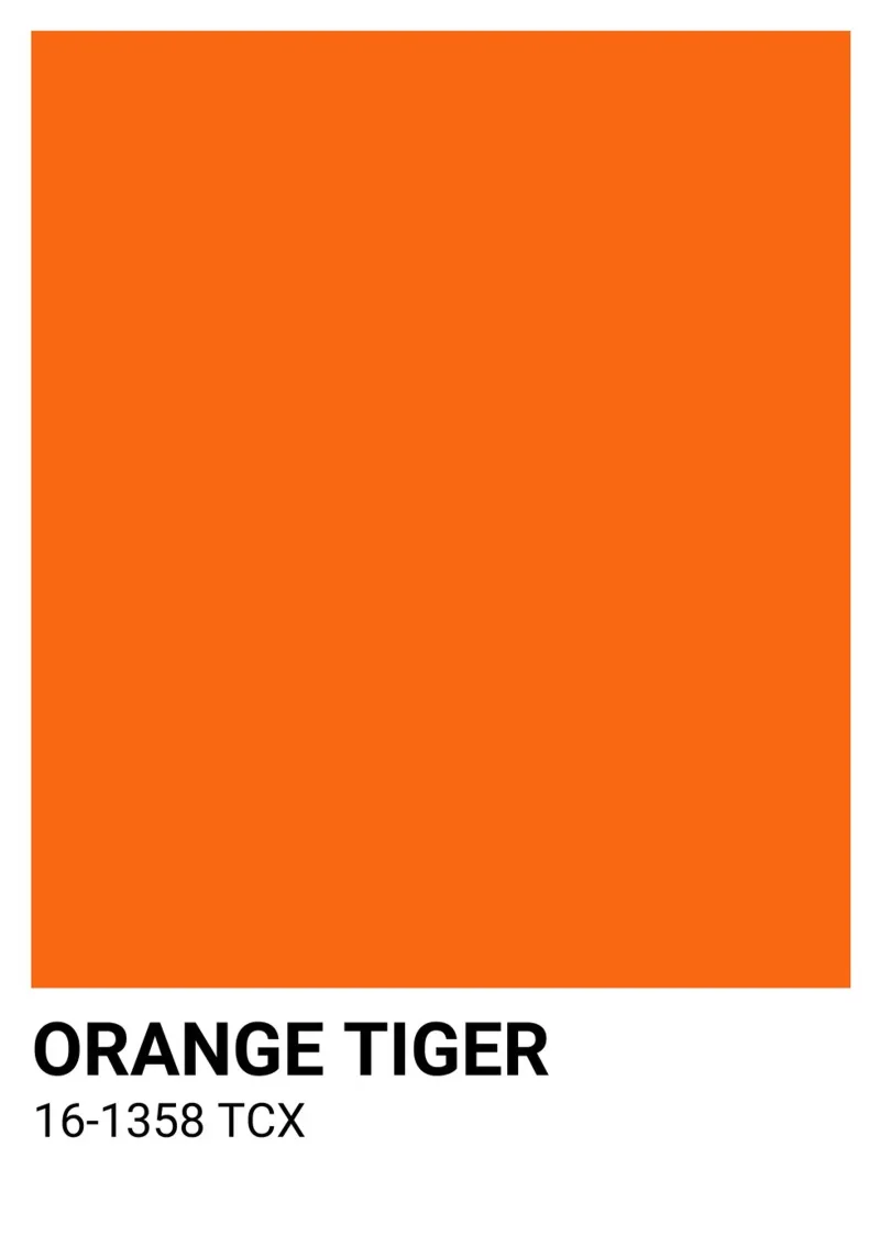 Pantone Tigre Naranja: Modern Color Block Art Print hahnemühle de homdeco