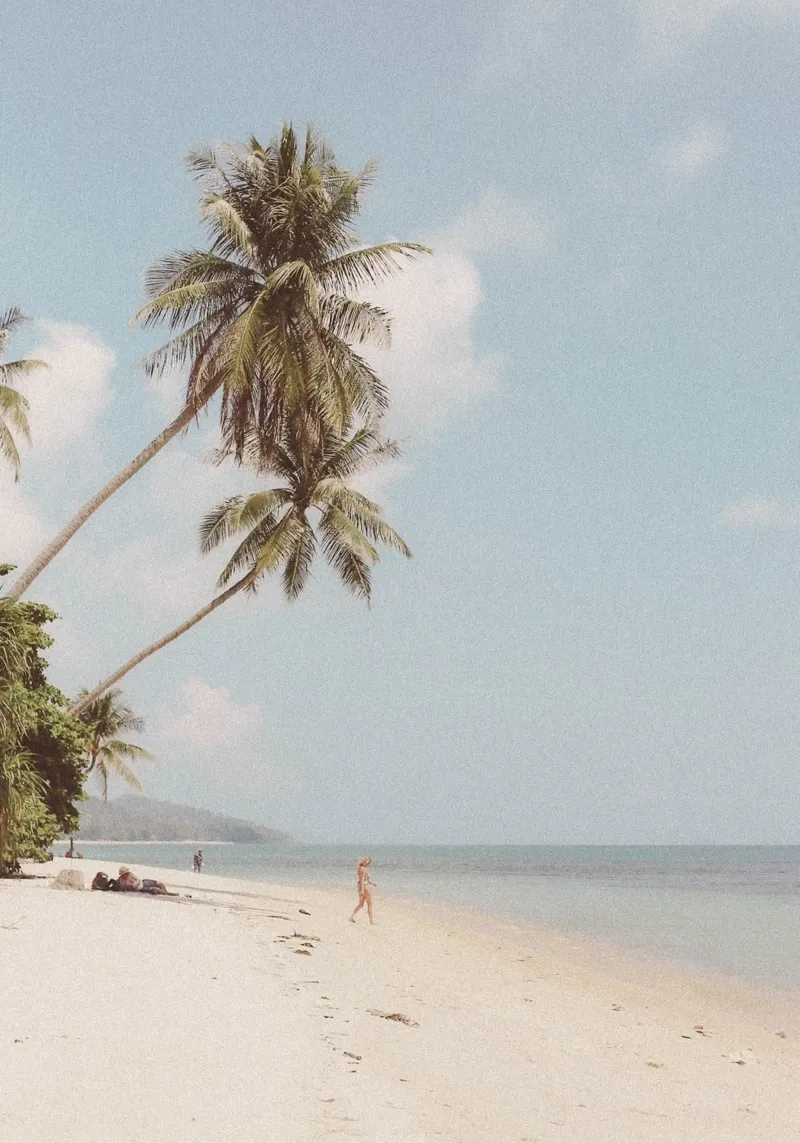 Tropical Beach Paradise Leaning Palms Vintage Vibes canvas with Floater frame by dawnthesea