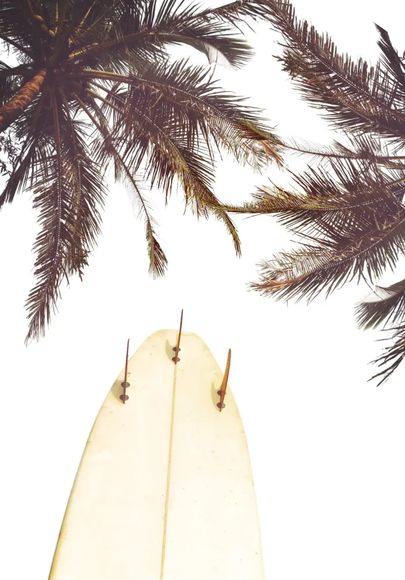 Surfboard Under Palms Tropical Beach Vibes Art hahnemühle by dawnthesea
