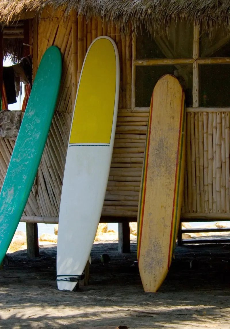 Surf Shack Vibes - Linea di tavole da spiaggia tropicali pellicola backlit da dawnthesea
