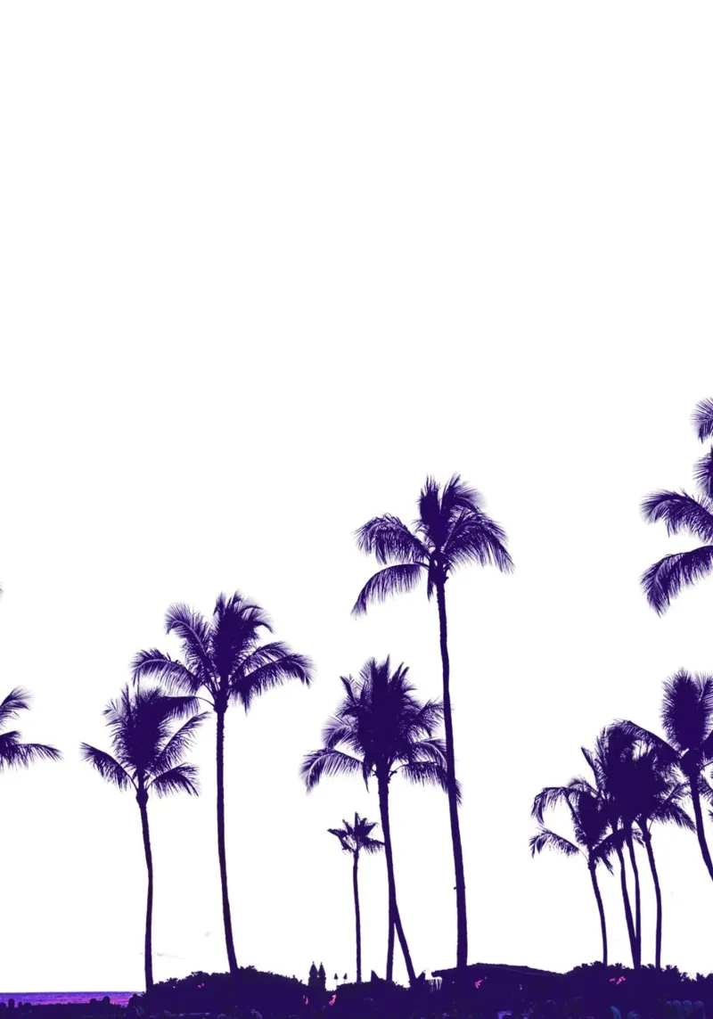 Silhouettes de palmiers violets Tropical Sunset Art hahnemühle de dawnthesea