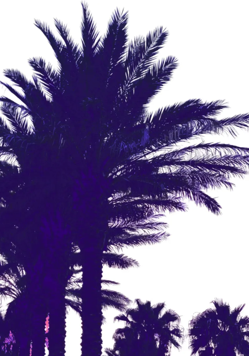 Sagome di palme viola intenso Arte minimalista poster con telaio in legno da dawnthesea