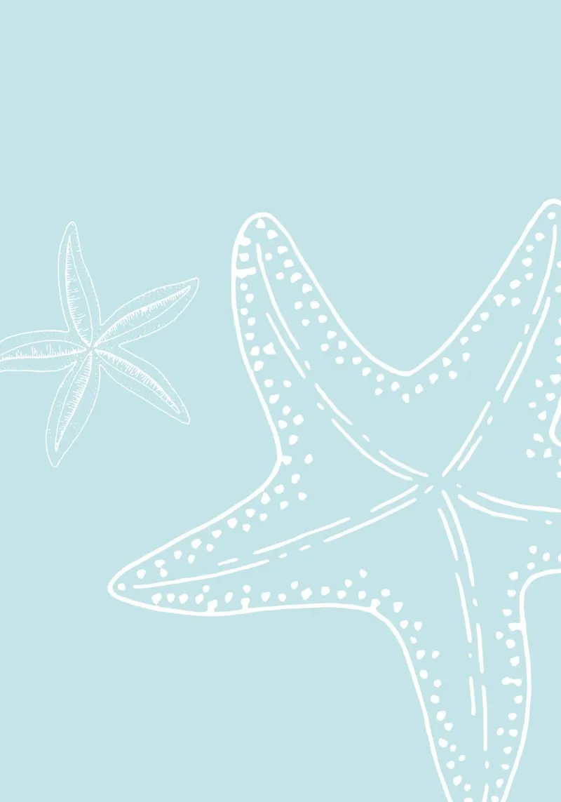 Zeester Duet Lichtblauw Kust Minimalistische Kunst canvas van dawnthesea