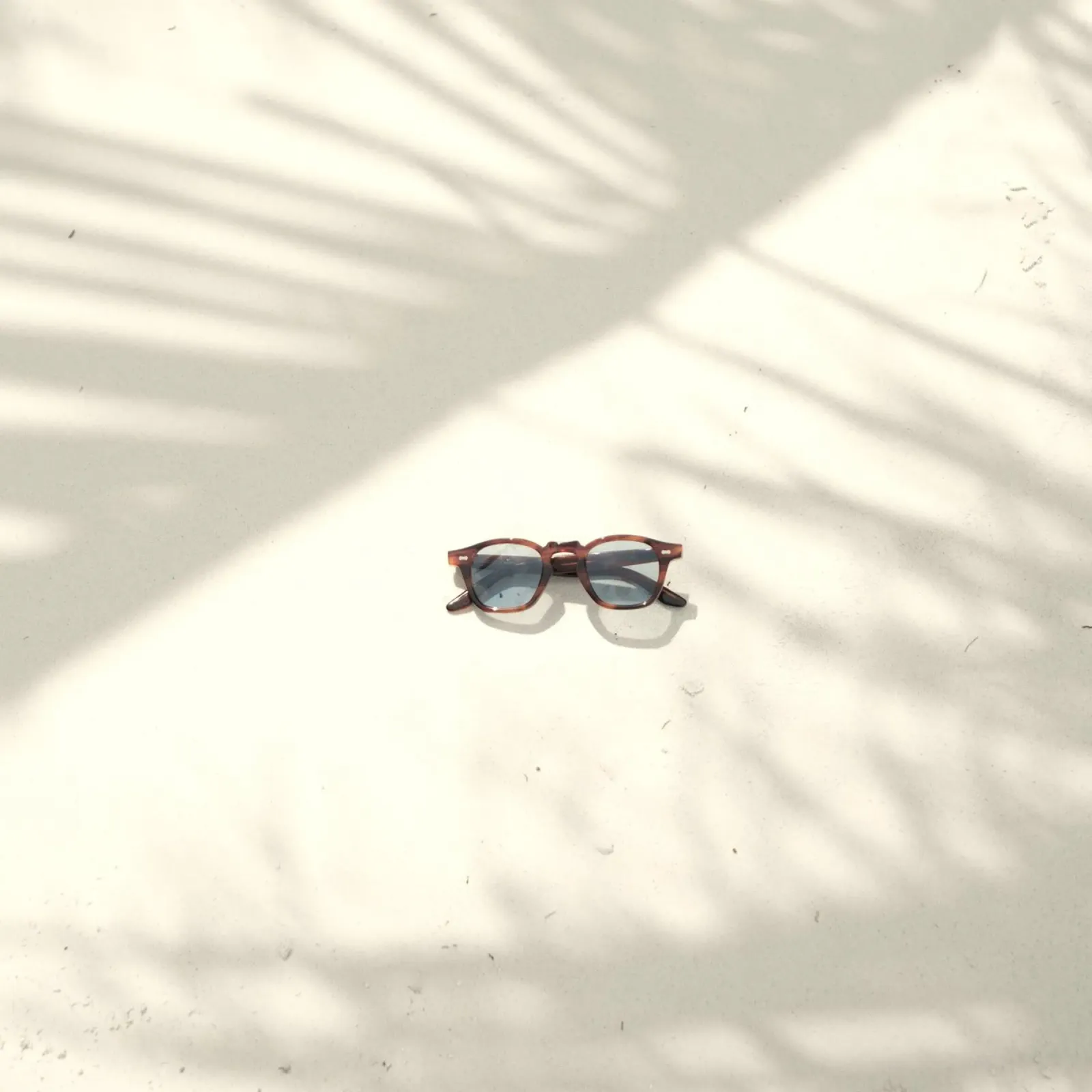 single sunglasses canvas met Baklijst van prindy