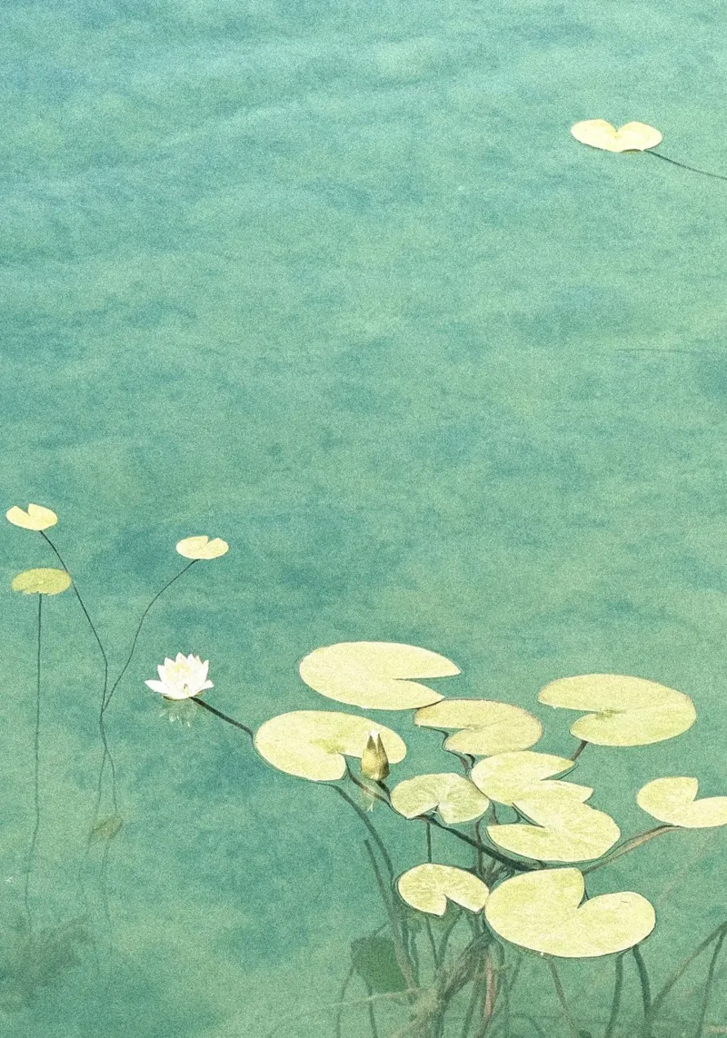 plants aquatic acrylic glass by prindy