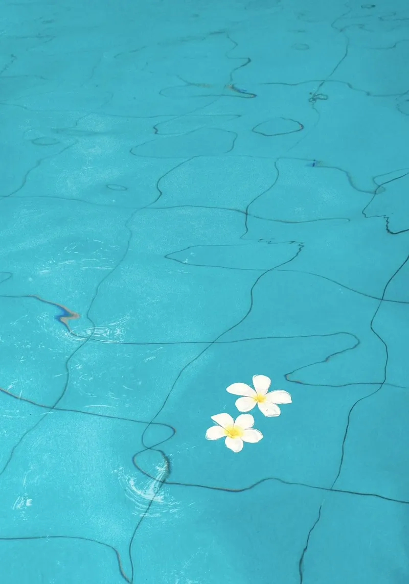 frangipani on pool pellicola backlit da prindy
