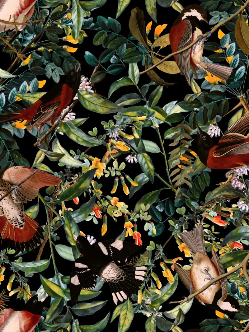 Floral and Birds XLIV poster con telaio in plastica da burcukorkmazyurek