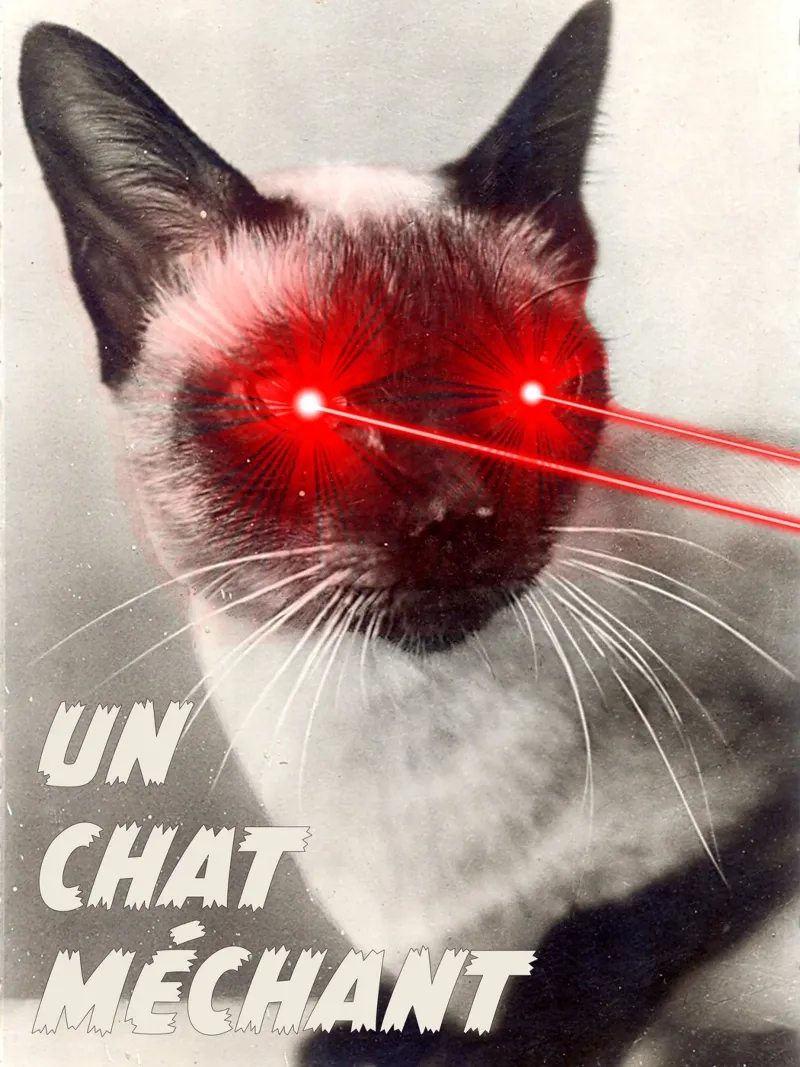 Un Chat Mechant pellicola backlit da MsGonzalez