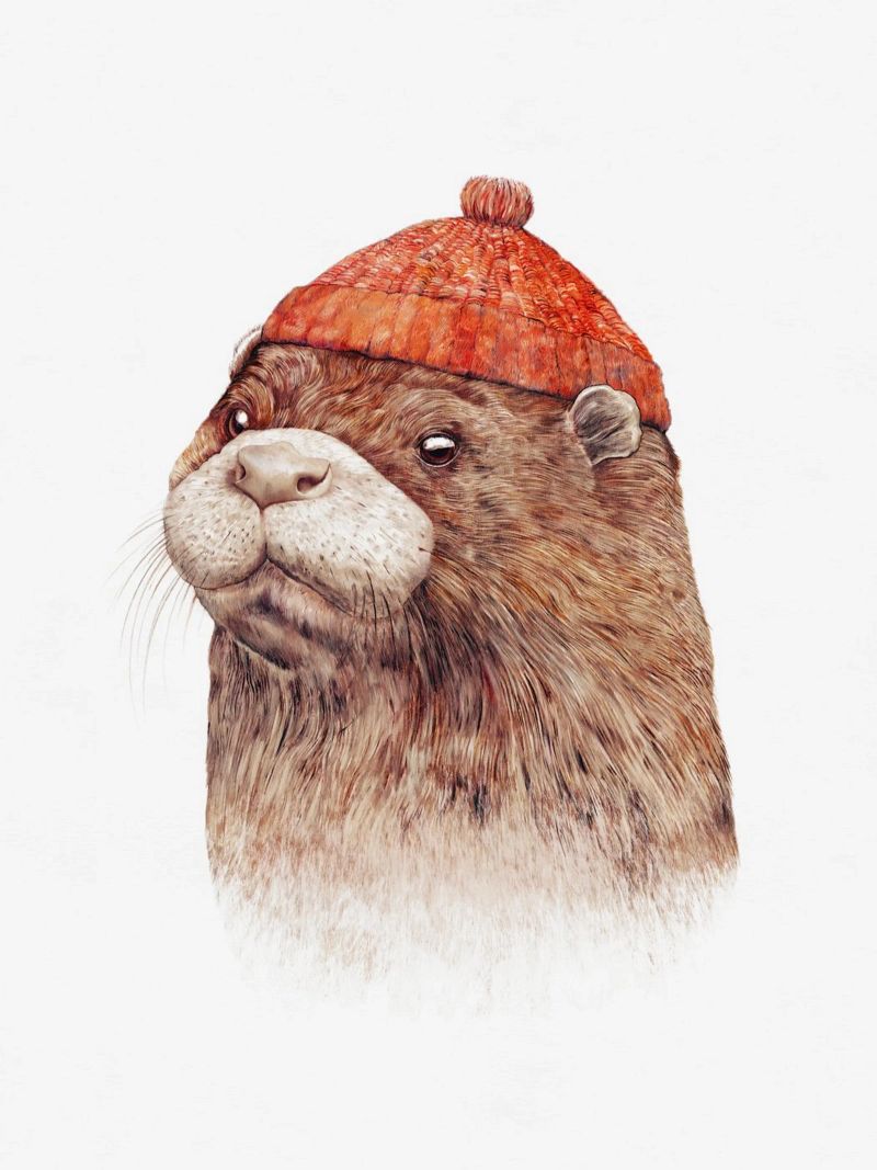 Otter poster da Animal Crew