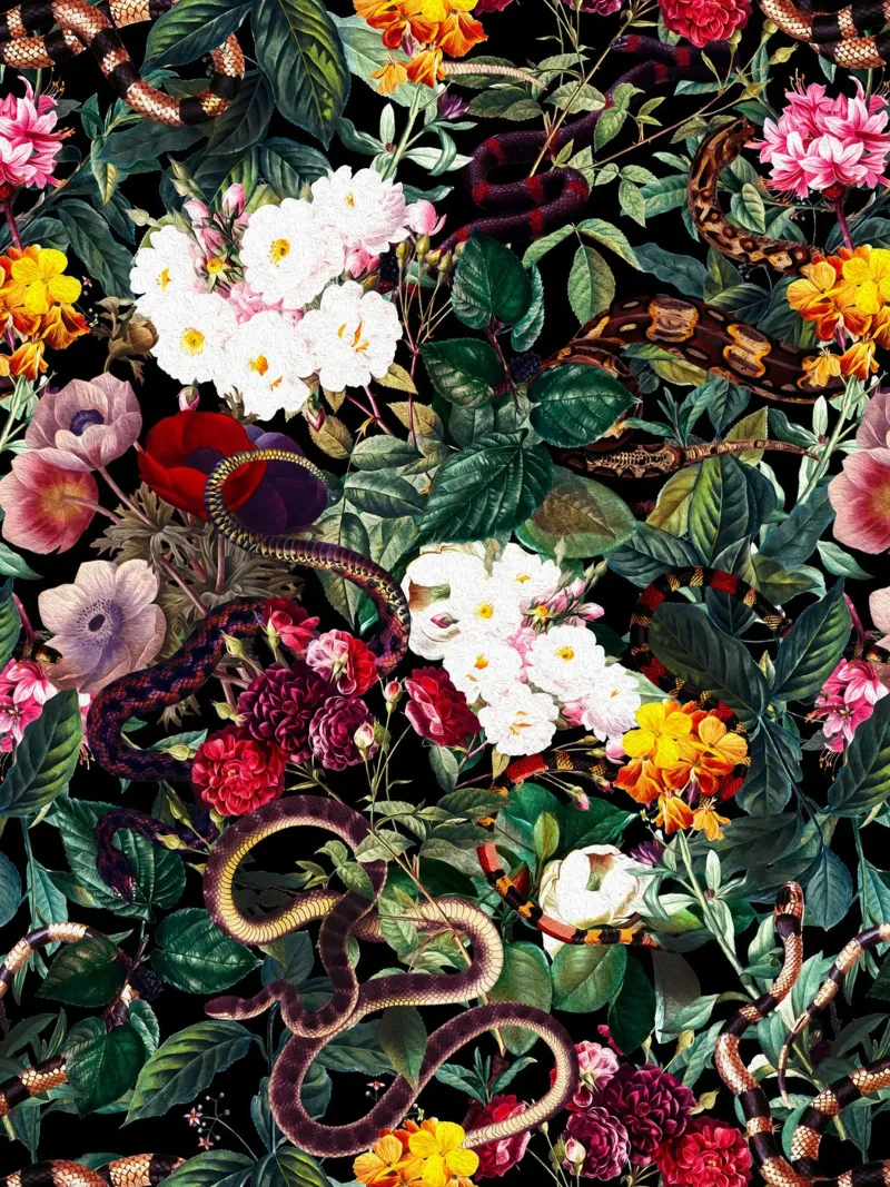 Flowers and Snake Pattern pellicola backlit da burcukorkmazyurek