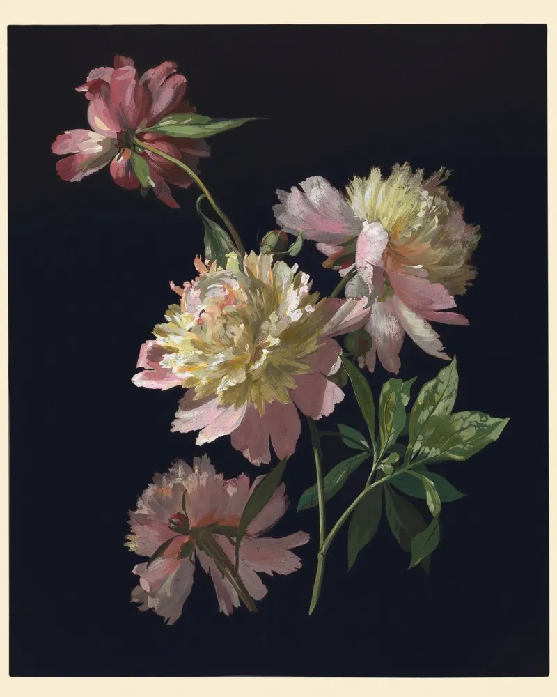 Flower Study, Peonies poster with plastic frame by vintageshop
