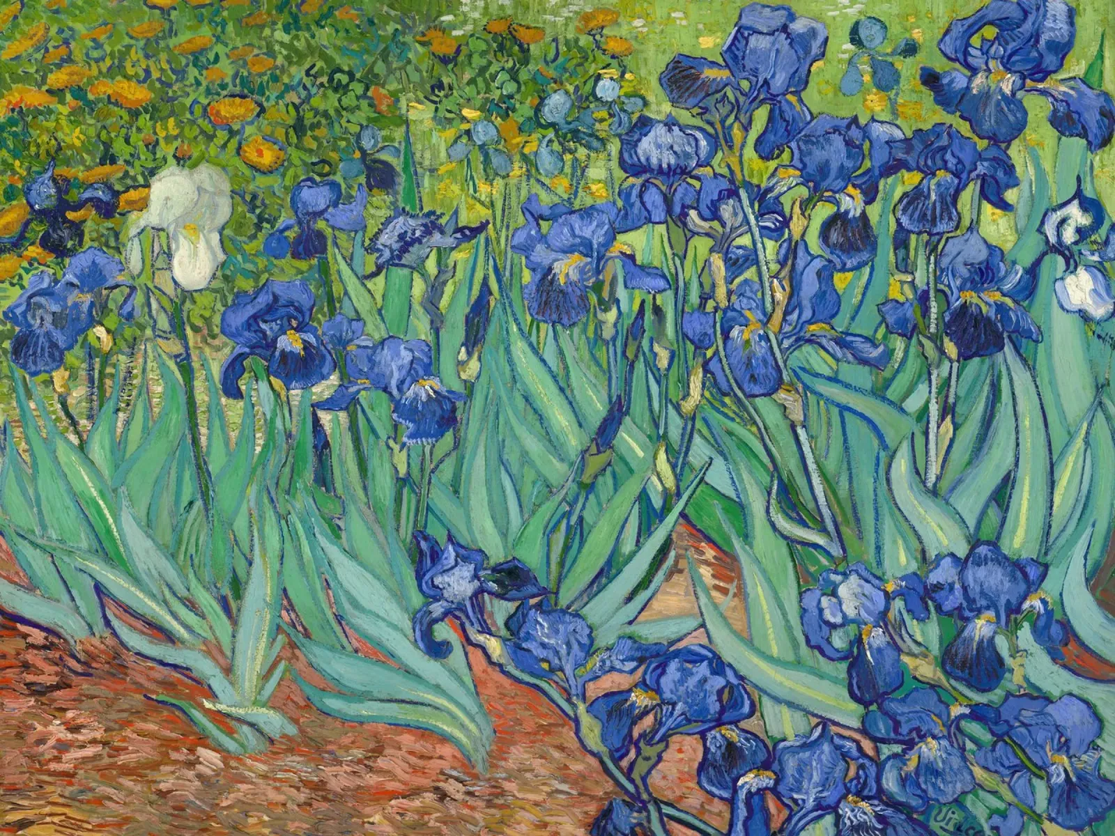 Irises by Vincent van Gogh backlit film by 50 masterpieces
