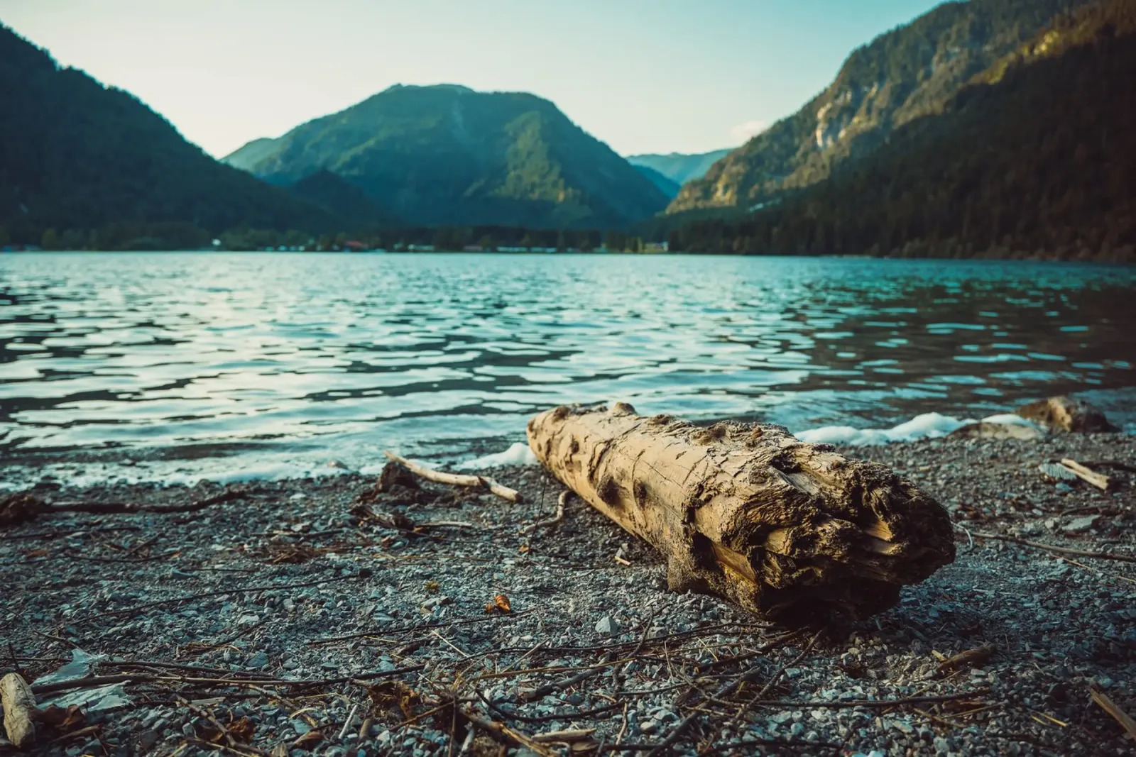Vecchio tronco d'albero sulla riva del lago in un pittoresco paesaggio di montagna poster con telaio in plastica da Bold and Retro