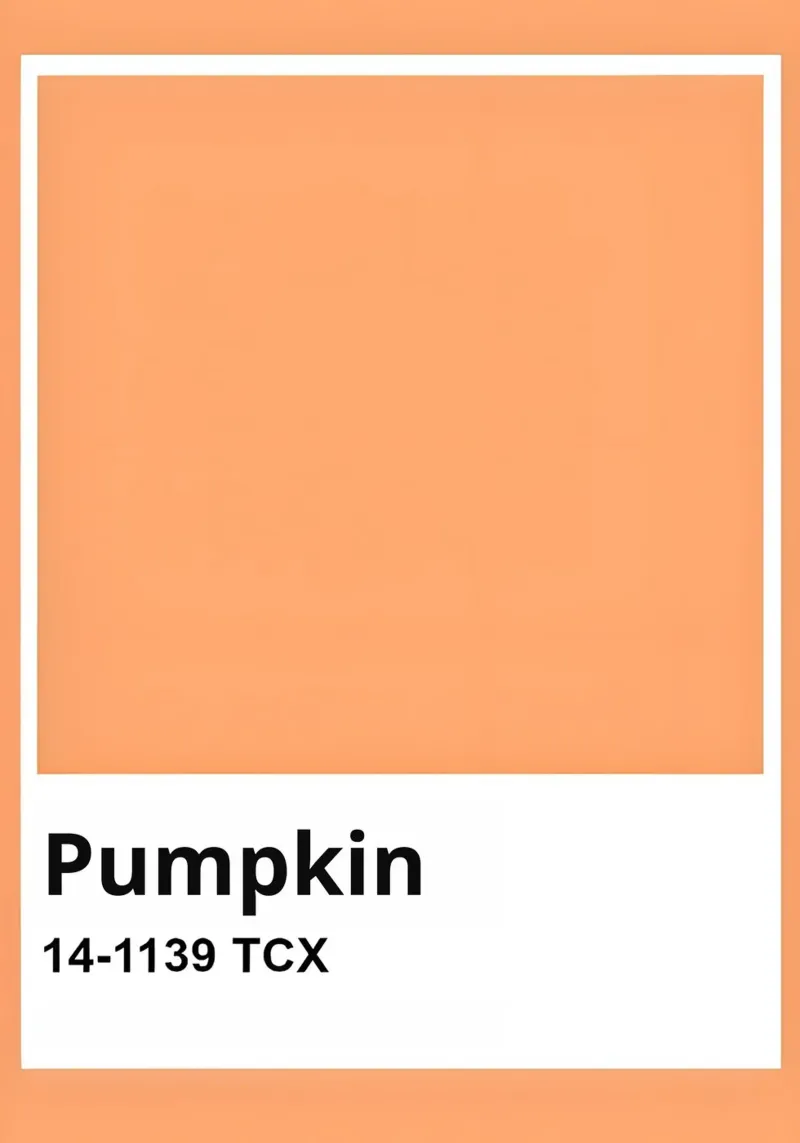 Pantone Pumpkin Color Block Minimalist Print canvas by homdeco