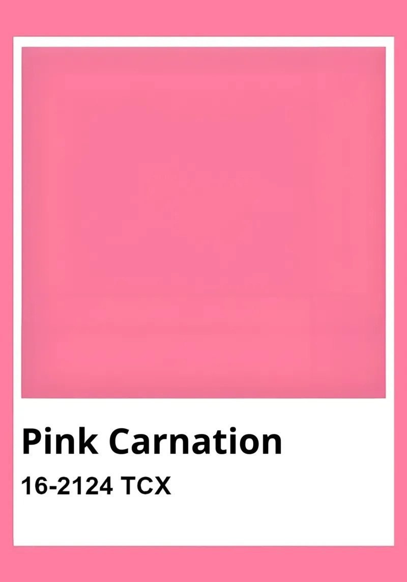 Pantone Roze Anjer Minimalistische Kleurenprint canvas met Baklijst van homdeco
