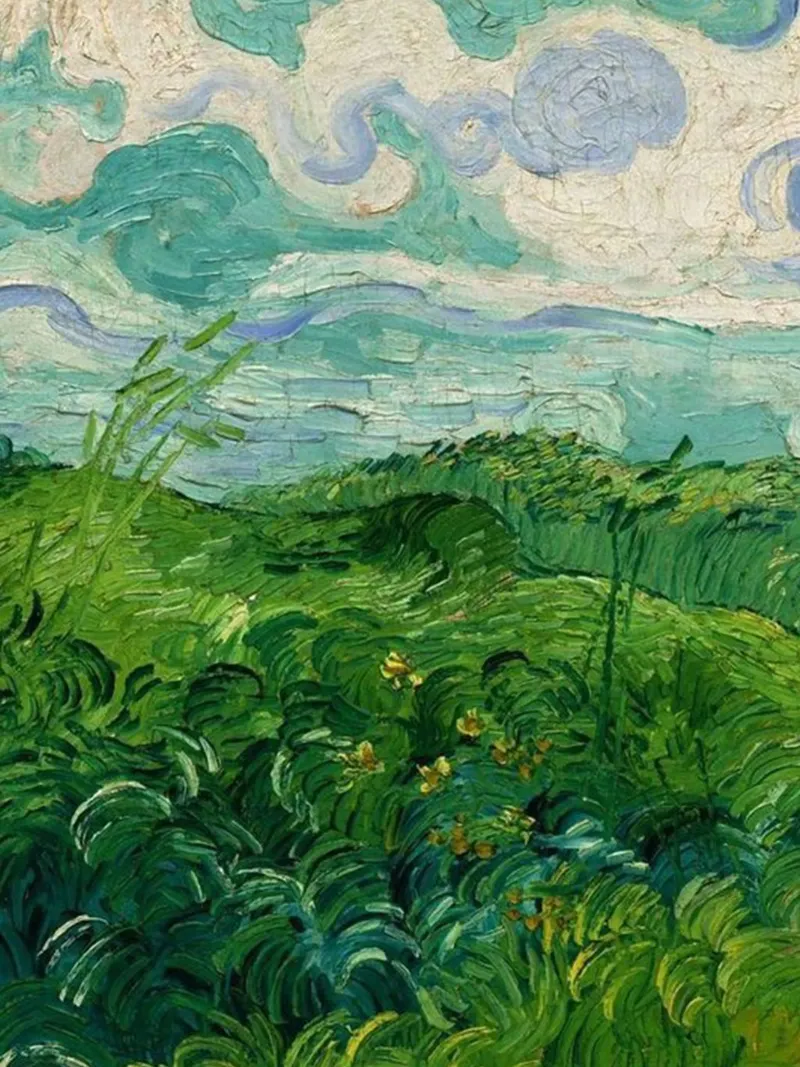 erba verde e fitta carta hahnemühle da cloud shop