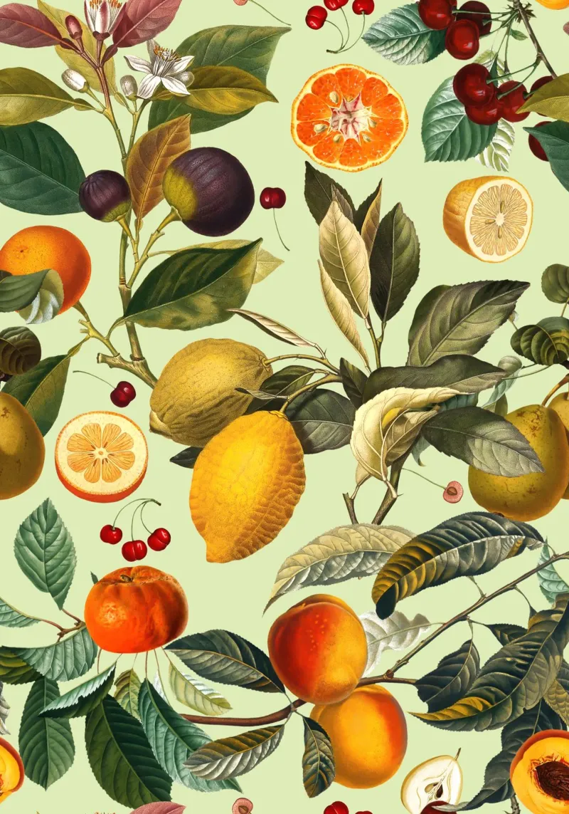 Vintage Fruit Pattern XIII pellicola backlit da burcukorkmazyurek
