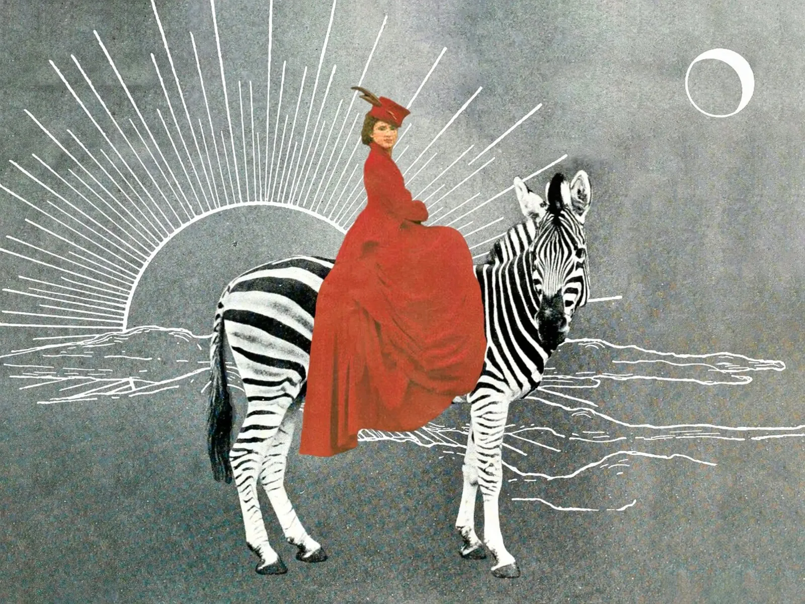 My Zebra and I poster da MsGonzalez
