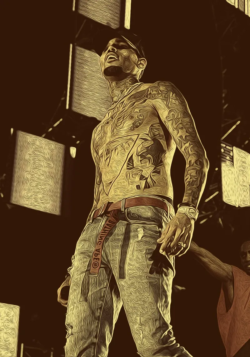Chris Brown sul palco pellicola backlit da singpentinksale