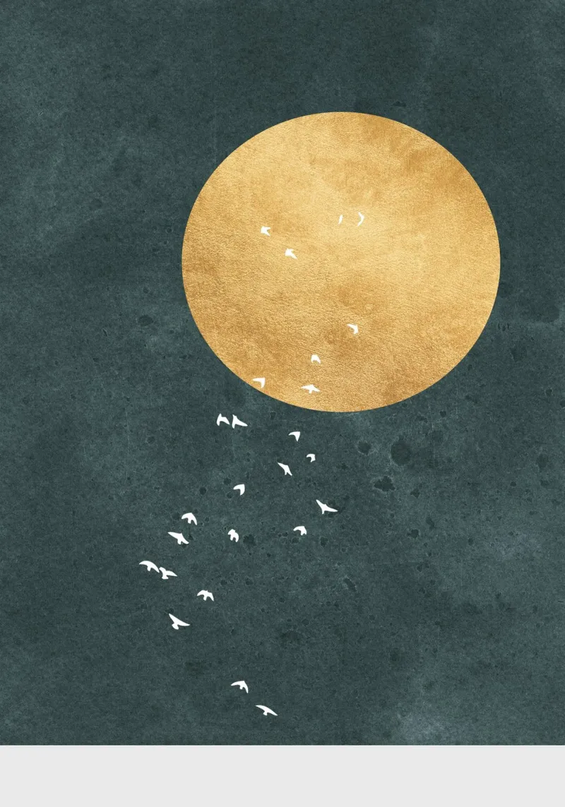 birds on the moon pellicola backlit da vintageshop