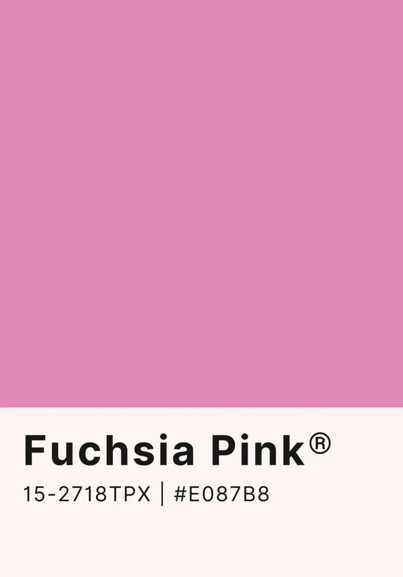 Fuchsia Pink Pantone Color Block - Modern Aesthetic canvas by homdeco