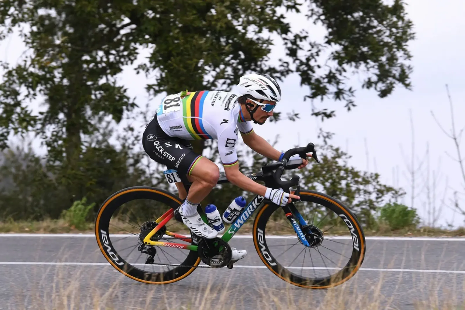 Julian Alaphilippe Sprinter metacrilato de Goodshops