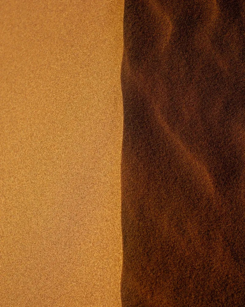 golden shadows pellicola backlit da prindy