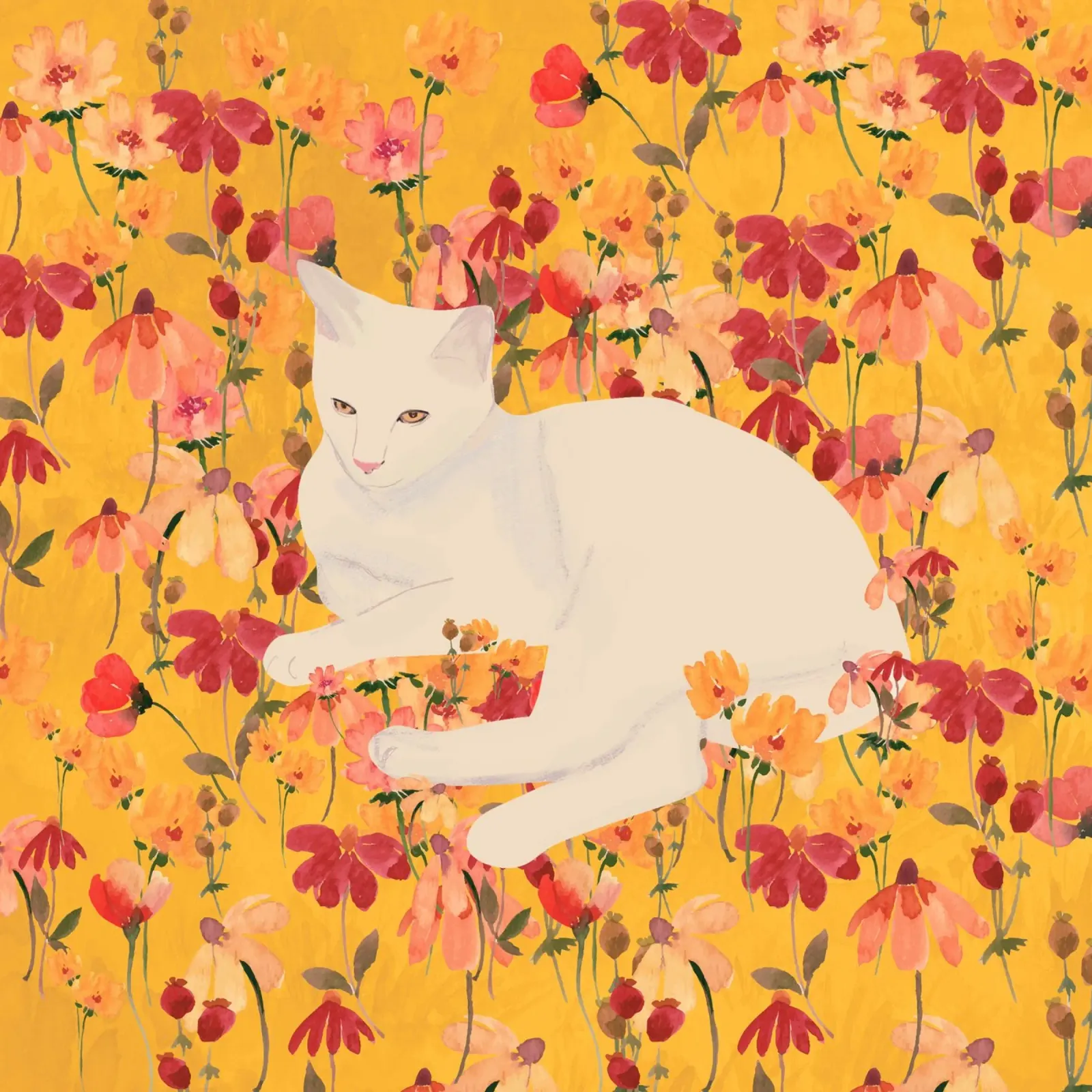 Gatto bianco in fiore pellicola backlit da ThingDesign