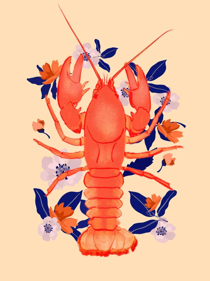 Lobster with Flowers 5 canvas by ThingDesign