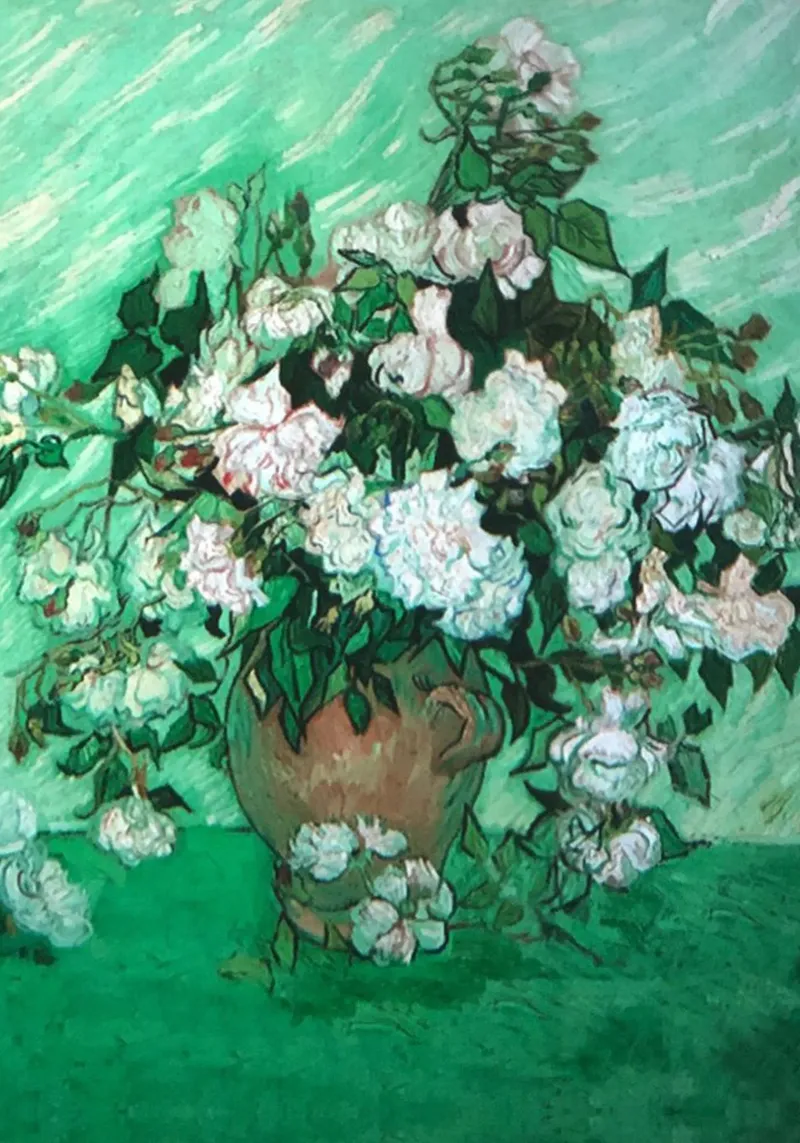 vaso di fiori rose bianche pellicola backlit da cloud shop