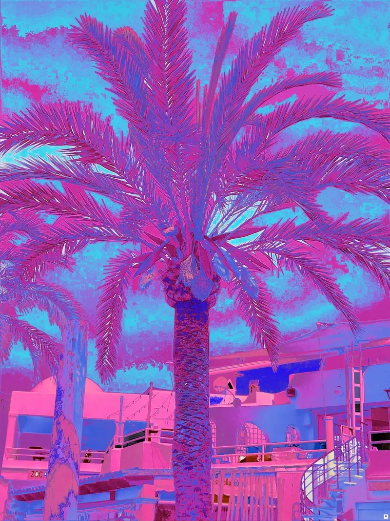 Palme in Pink pellicola backlit da Nica Colorie
