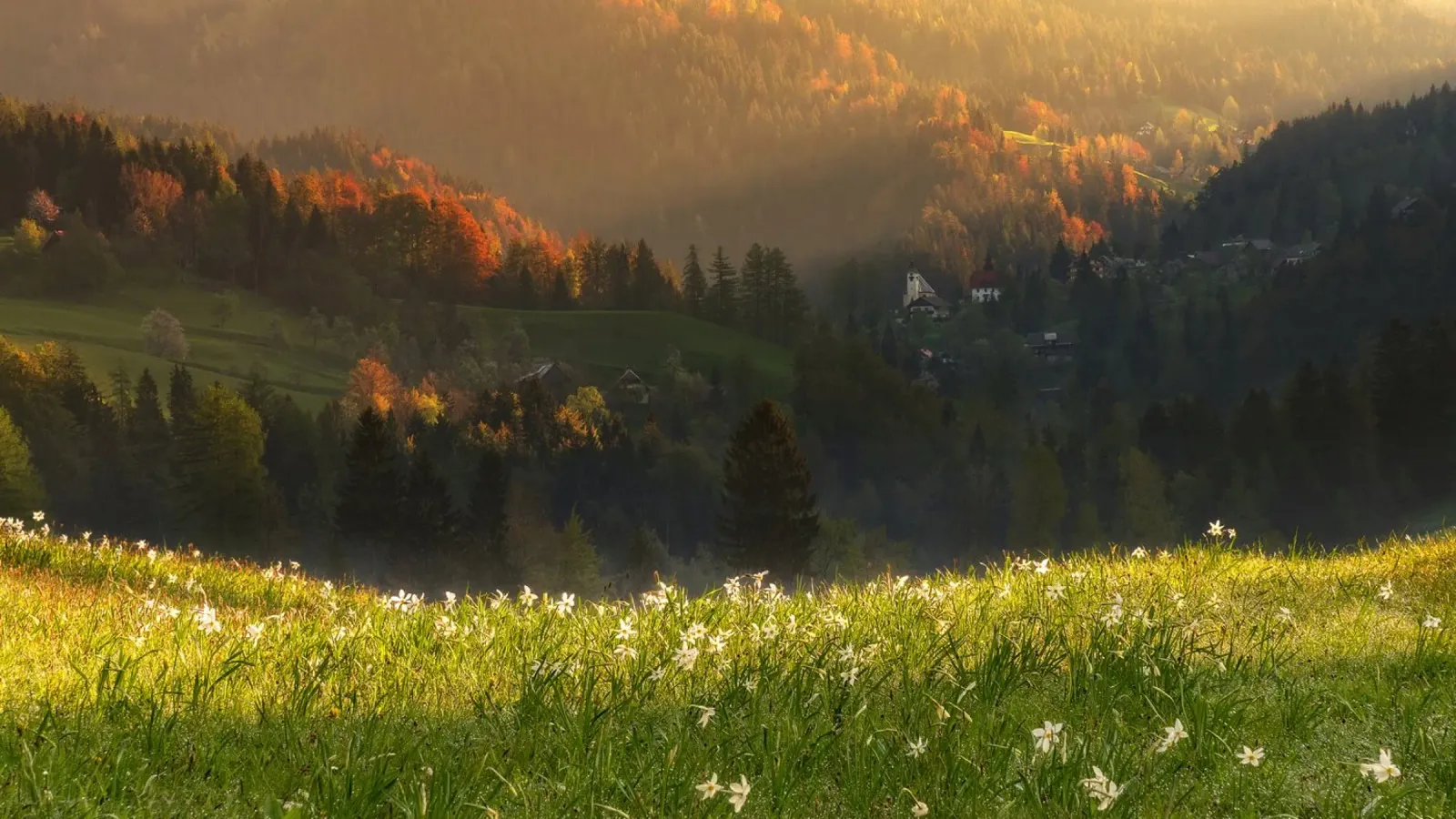 Paesaggio onirico alluminio dibond da PhotoVibe Decor