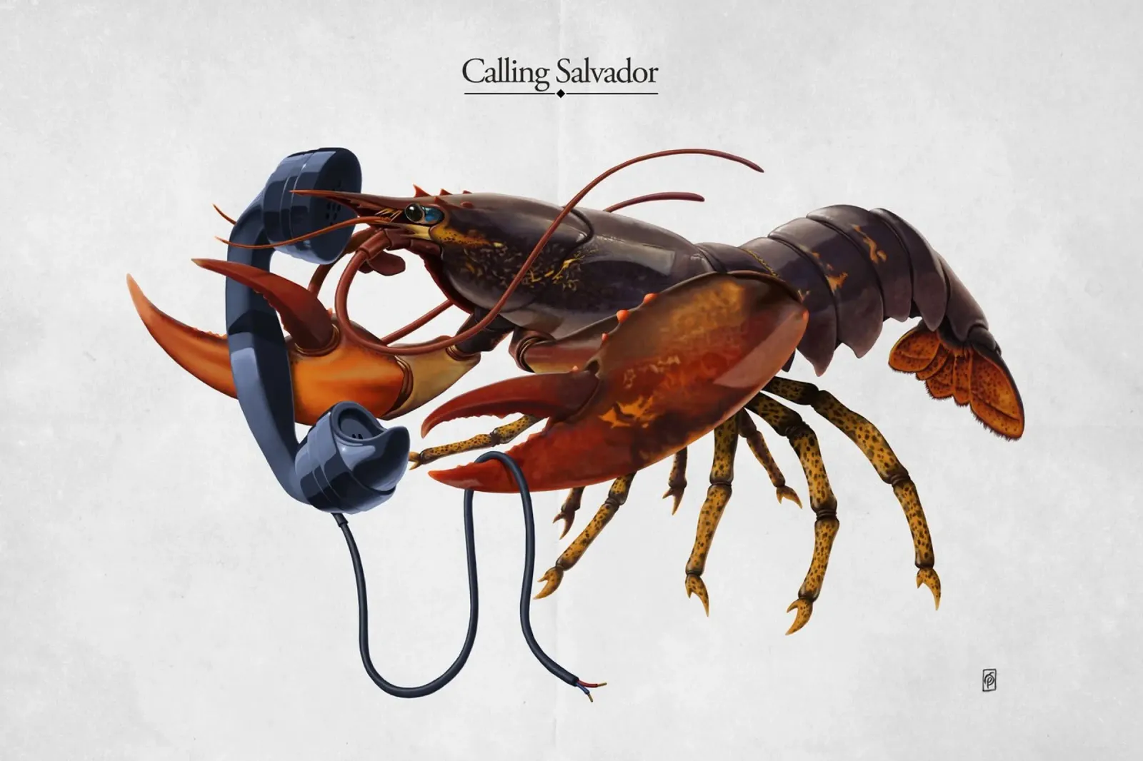 Calling Salvador (Titled) pellicola backlit da Rob Art | Illustration