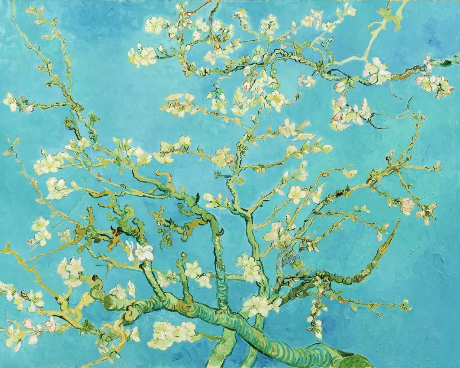 Mandorlo in fiore (1890) di Vincent van Gogh carta hahnemühle da Van Gogh Prints
