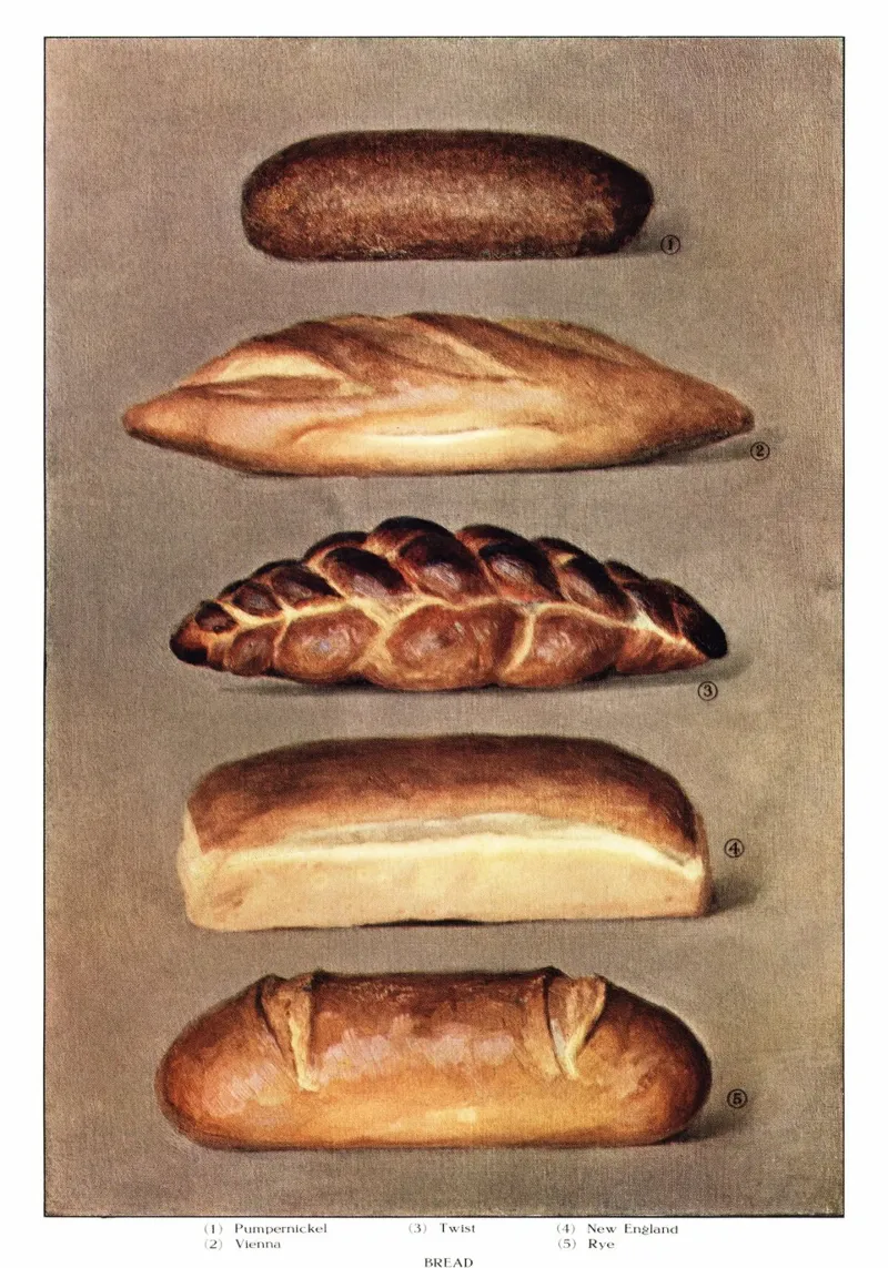 Divers pains cuits au four - extrait de The Grocer's Encyclopedia (1911) hahnemühle de Art History